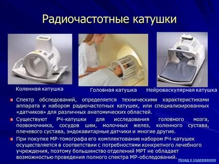 Обследований назад