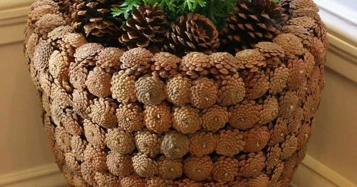Корзина из сосновых шишек. Декор шишками на даче. Корзинка из сосновых шишек. Корзинка из природного материала. Корзинка из шишек.