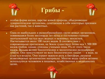 Грибы это какой продукт