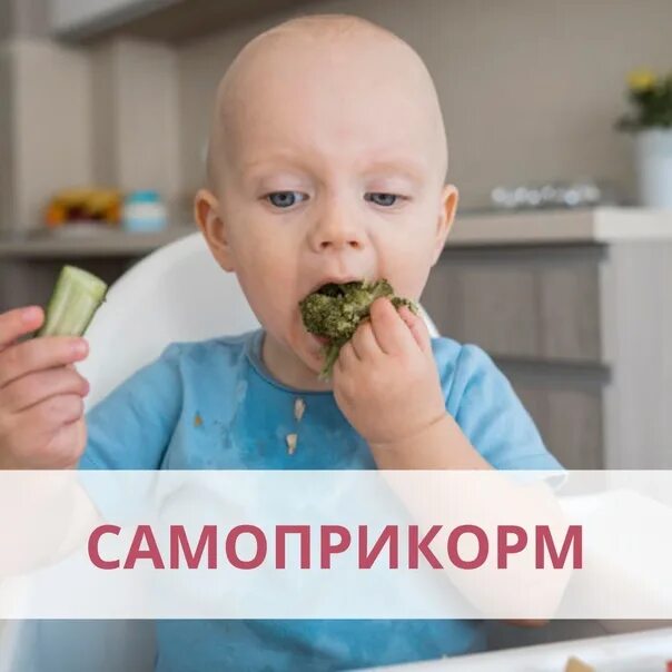 Самоприкорм блв. Самоприкорм. Самоприкорм в 11 месяцев. Микродозы при самоприкорме. Самоприкорм с чего начать.