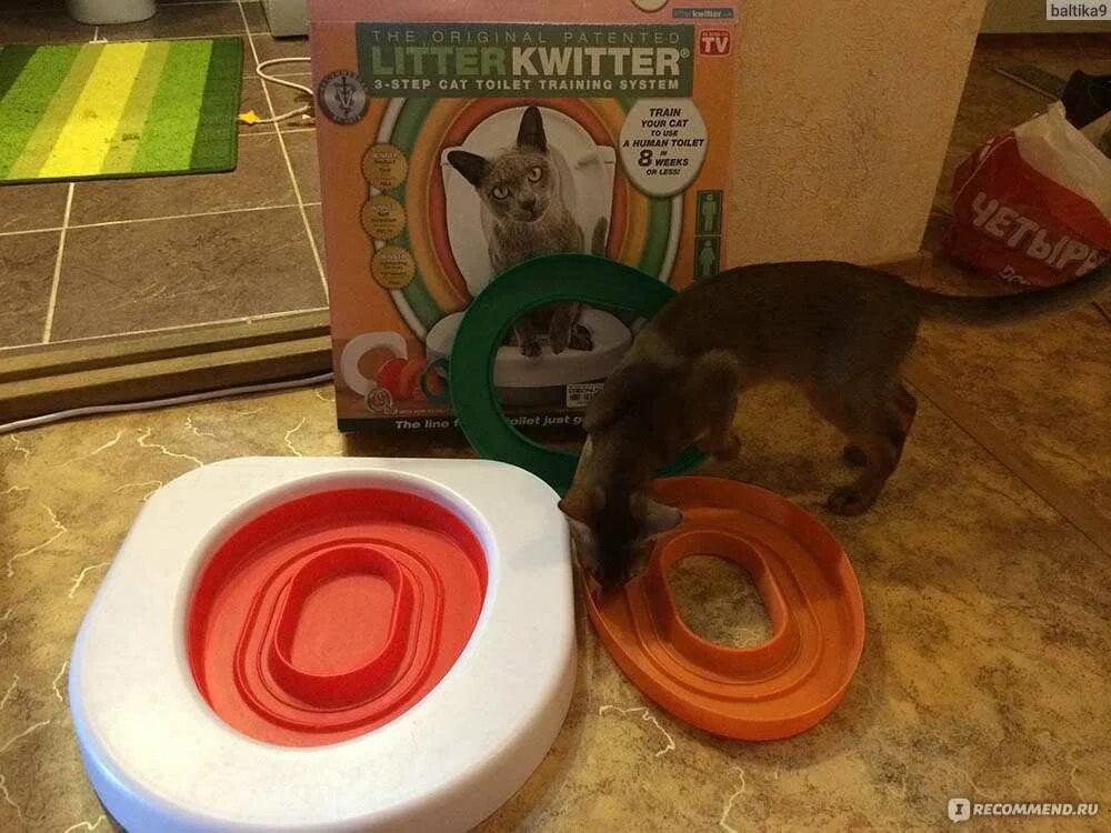 Как приучить кота к туалету. Приучение кота к унитазу. приучить кошку к унитазу приспособление. приспособление для приучения кошки ходить в унитаз. как приручить кота к унитазу.