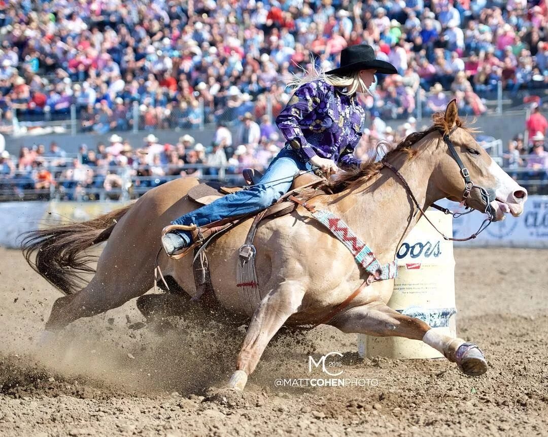 Спортивный вестерн. Баррел рейсинг. лошадь баррел рейсинг. barrel racing конный спорт. баррел рейсинг вестерн.