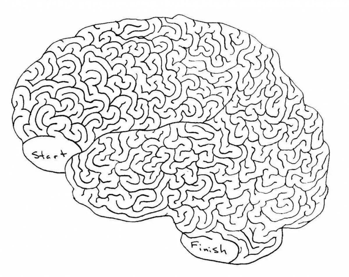 Бесплатная игра для тренировки мозга. Лабиринт сложный. Сложные лабиринты для детей 10-12 лет. Мозг Лабиринт. Слодныелабиринты для детей.