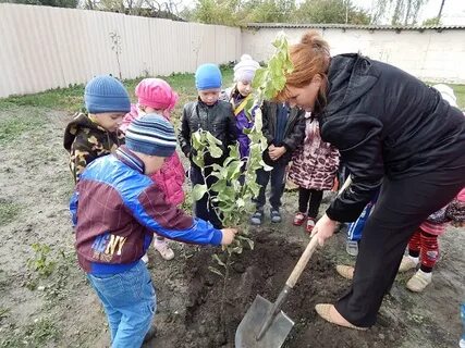 Детский сад посадили деревья