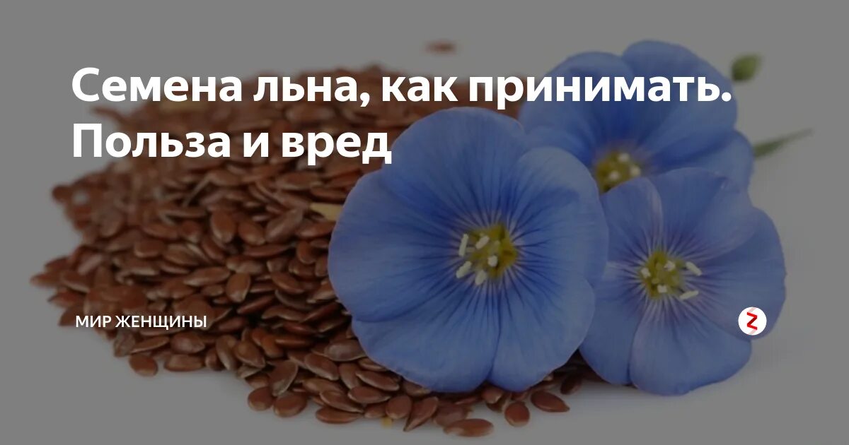 Вред льна для мужчин. Семена льна полезные. Семена льна для организма. Семена льна польза. Семена льна полезные свойства.