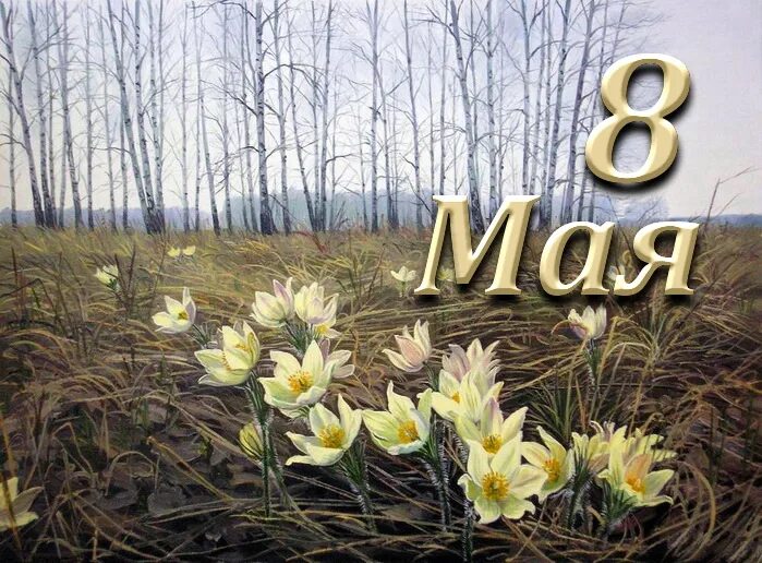 8 мая можно. 8 Мая. 8 Мая праздник. Марков день 8 мая. 8 Мая день марка ключника.