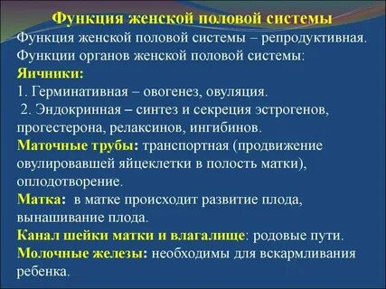 Органы репродуктивной системы женщины