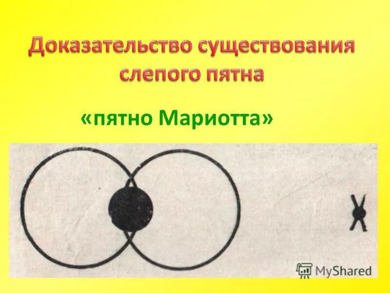 опыт мариотта слепое пятно