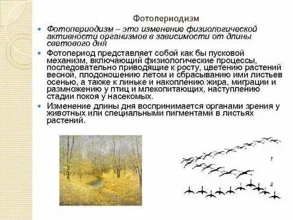 Реакция организмов на длину светового дня