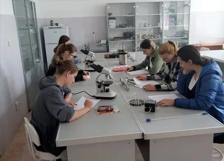 Колледж даниила гранина