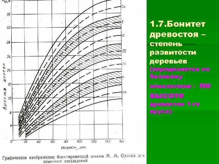 Бонитет леса. Класс бонитета таблица Орлова. Таблица бонитета древостоя. Таблица бонитетов насаждений. Бонитировачнпч школа Орлова.