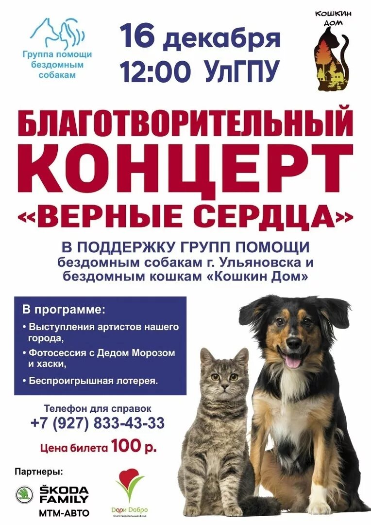 Животные ульяновска. Приют для животных в люберцах. Помощь бездомным ульяновск. Помощь бездомным ульяновск. Объявление о приюте для собак и кошек.