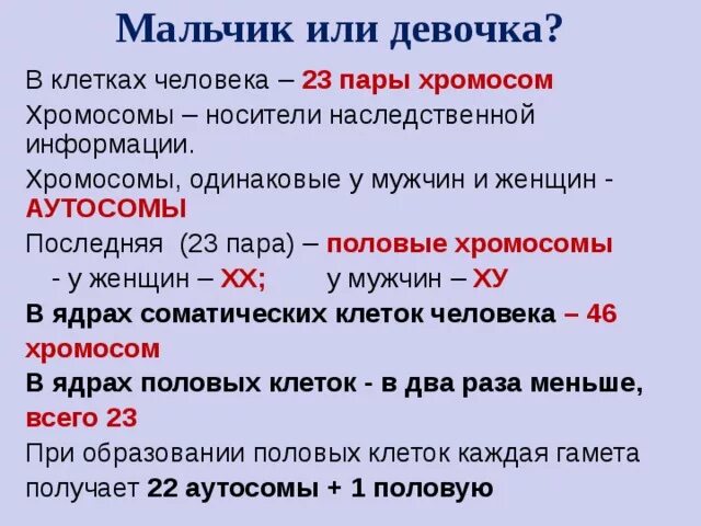 23 хромосомы у человека в клетках. Хромосомы мальчика и девочки. Х хромосома это мальчик или девочка. Хромосомы носители наследственной информации.