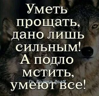 Умею цитата
