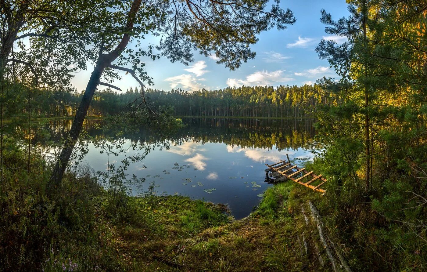 Лесное озеро в Ленинградской области. Озеро Сяберо Ленинградская область. Озеро лабаз Красноярского края. Озеро озерцо Ленинградская область.