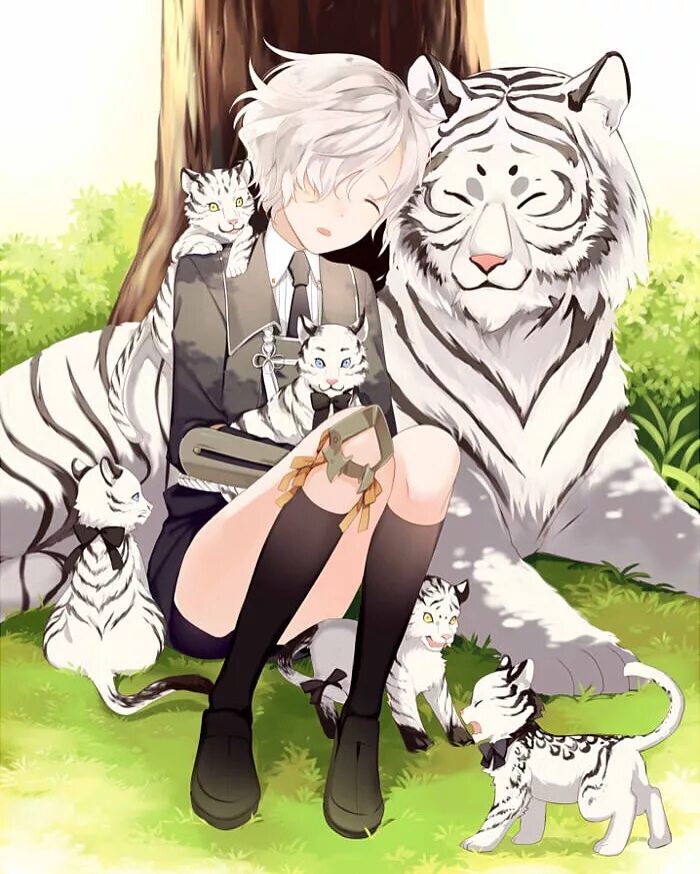 Тигр и собака мужчина. Великий из бродячих псов Ацуши тигр. Ацуши Накаджима тигр. Белый тигр Ацуши Накаджима.