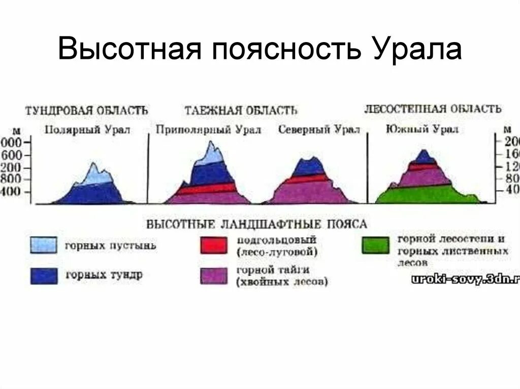 Высотная поясность Южного Урала схема. Высотная поясность уральских гор. Высотная поясность уральских гор таблица. Высокая пояность уральских гор. Почему высотная поясность