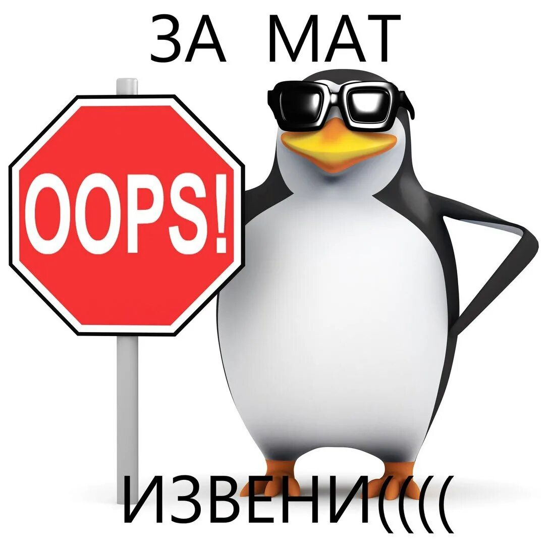 За мат извини. Извините за мат. Извиняюсь за мат. Сори за мат. Прости за мат Мем.