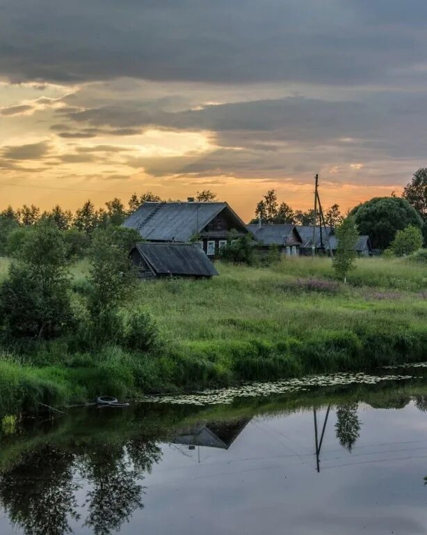 Обряжаться в деревне. У плетня заросшая крапива. У плетня заросшая крапива Обрядилась ярким перламутром. В мире есть деревня мечты. Заросшая крапива обрядилась