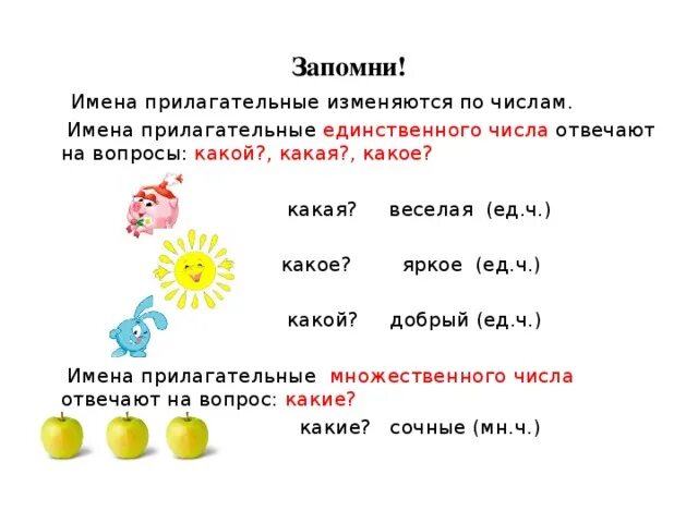 5 прилагательных по форме. Единственное и множественное число прилагательных 2 класс. Число имени прилагательного 3 класс. Имя прилагательное 2 класс единственное и множественное число. Как определить число имен прилагательных 2 класс.