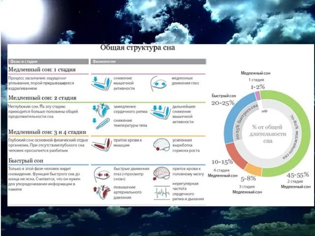 Из каких фаз состоит сон. Структура сна. Общая структура сна. Структура сна человека. Структура и фазы сна.