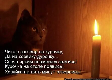 Надо ли ночью выключать