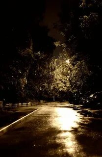 По ночам я во дворе вижу звезд