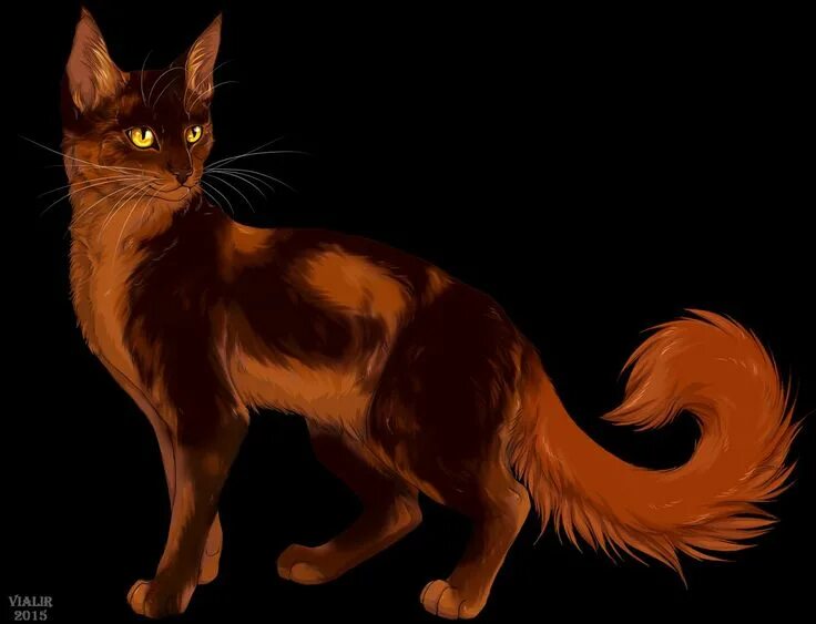 Как выглядит ярохвост из котов воителей Ярохвост © purrito. Фотография из альбома Котечественный Фан-Арт 0 из 80 ВКонт