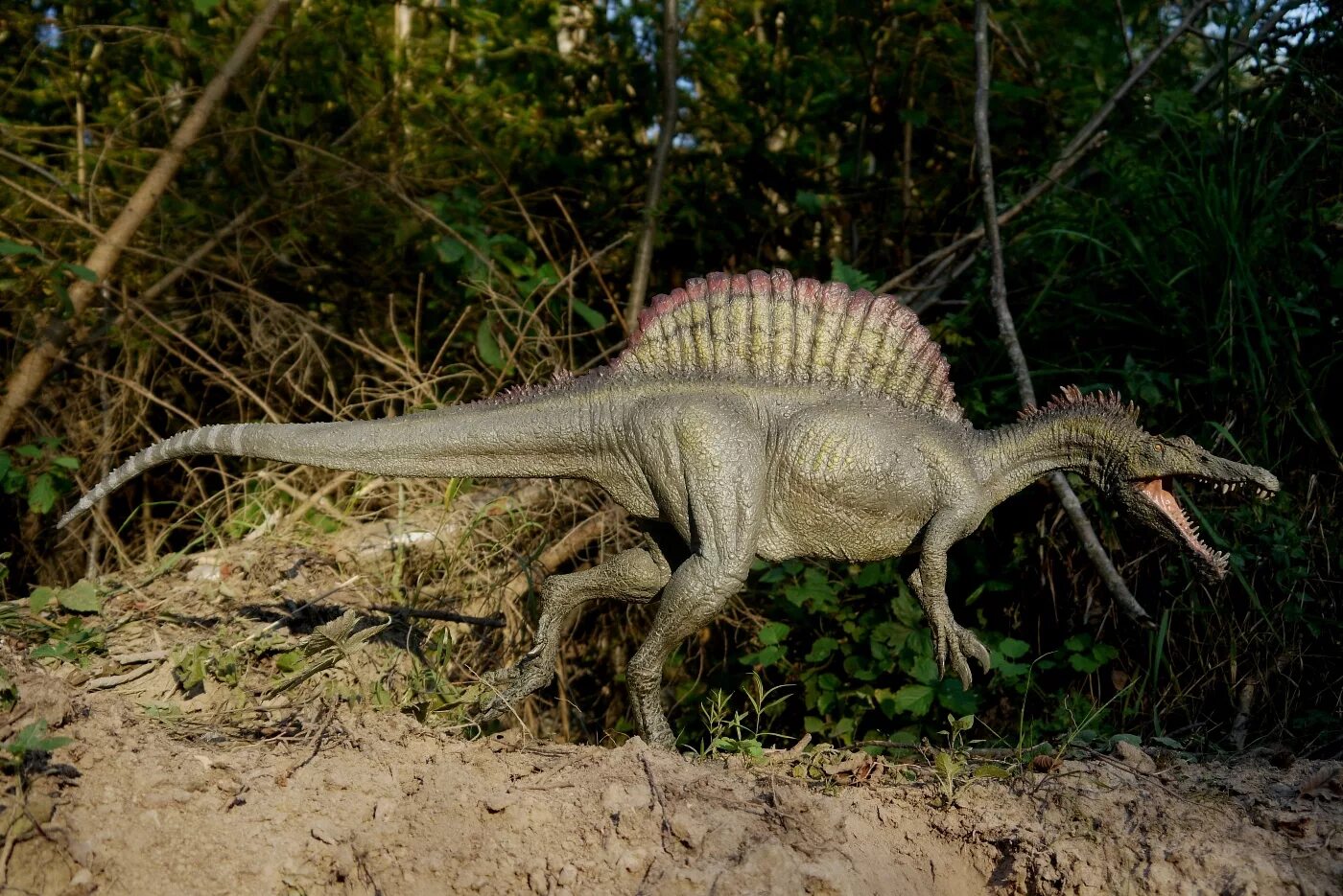 Большой динозавр хищник. Спинозавр Египетский. Спинозавр-ящер. Динозавр Спинозавр. Динозавр хищник Спинозавр.