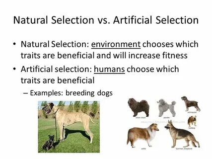 Sampling selection