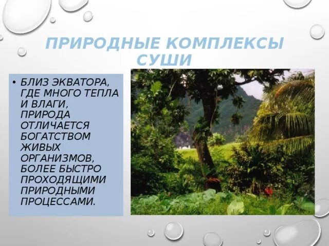 Природные компоненты суши. Природные комплексы суши. Близ экватора. Природно территориальные комплексы суши и океана.