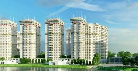 Профи пушкино