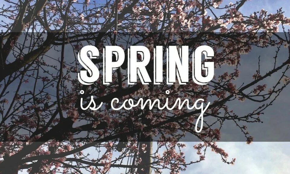 Spring is coming. Спринг тумблер. Spring is coming soon. Spring arrives