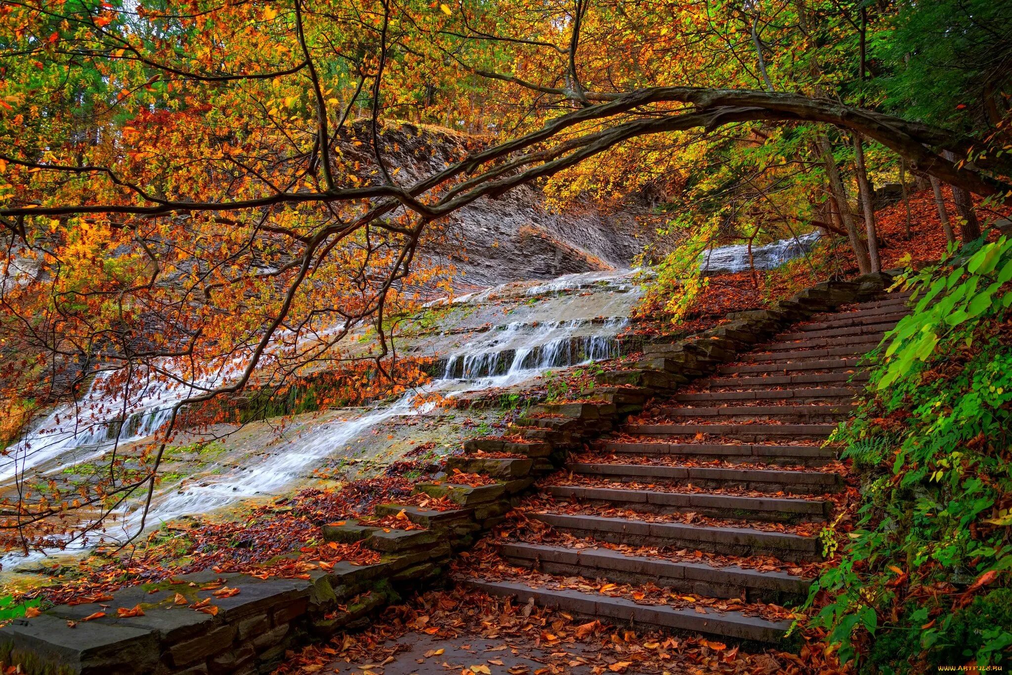 Осенний парк. Парк осенью. Осенняя лестница. Лестница в парке. Stepped fall