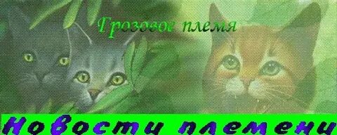 Коты воители грозовое племя имена