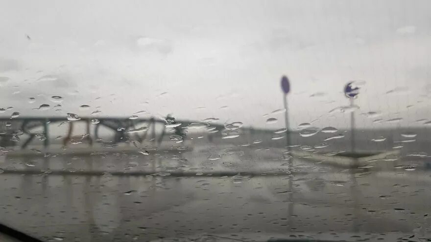 Все было мокро от тумана