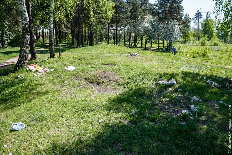 Святые источники семиключье чувашия. Участок 7 ключей. Участок 7 ключей. Заповедник семь ключей в наро-фоминском районе. Родник семь ключей пенза.