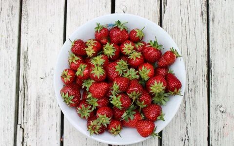 Клубника в начале сентября