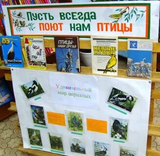 День птиц названия мероприятия