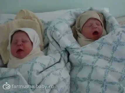 8 месяц беременности ждем двойню рассказ