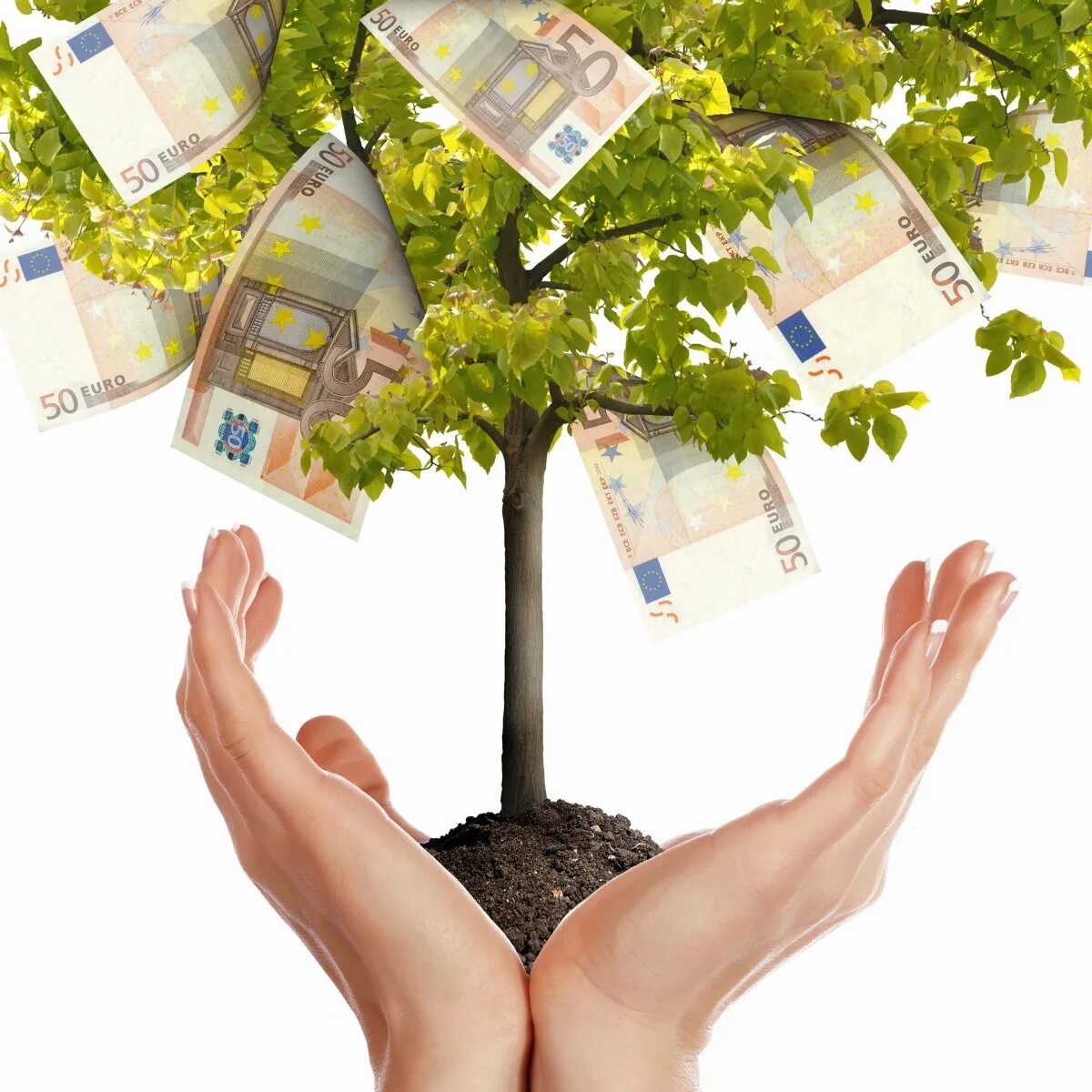 Способное приносить доход. Дерево с деньгами. Руки деньги дерево. Материальное благополучие. Визуализация денег.
