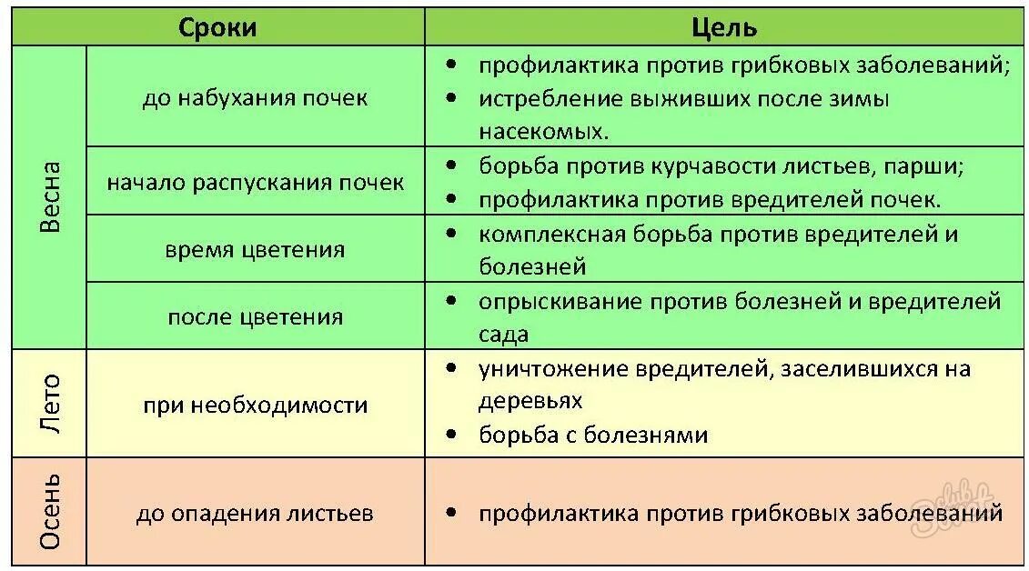 Когда можно опрыскивать деревья. Обработка плодовых деревьев от вредителей и болезней. Обработка деревьев весной от вредителей и болезней. Схема защиты плодовых деревьев. Препараты для обработки сада весной от болезней и вредителей.