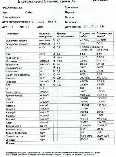 Биохимический анализ крови норма бланк. Нормы показателей биохимического анализа крови у собак. Биохимия крови собаки показатели. Биохимический анализ крови пример результата.