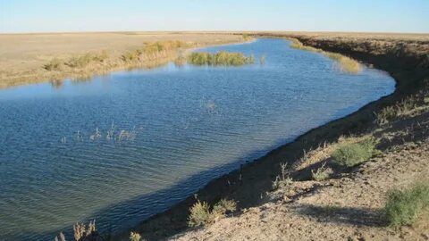 стриптиз жасаушы қызды сору