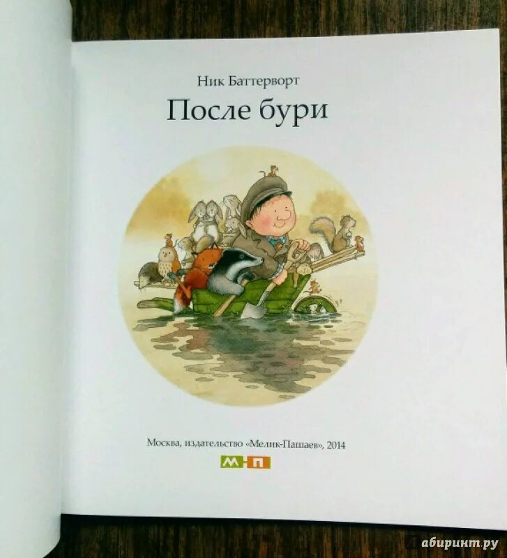 После бури читать. После бури книга. Баттерворт ник "после бури". Обложка книги после бури. Буря книга.