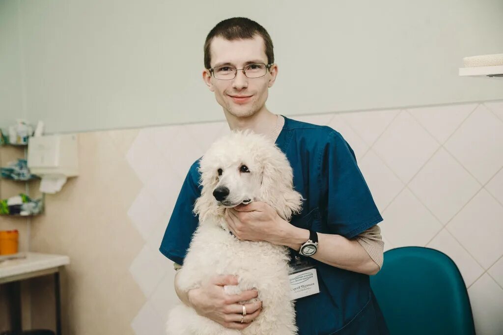 виданова юлия ветеринар. ветеринар парень. хаски у ветеринара. евегнии мамонтовой веть клиника. круглов дмитрий павлович невролог воронеж.