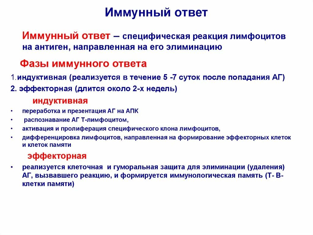 Генетический иммунного ответа. Основные задачи иммунного ответа. Характеристика индуктивной фазы иммунного ответа. Первичный иммунный ответ иммунология схема. Фазы иммунного ответа кратко.