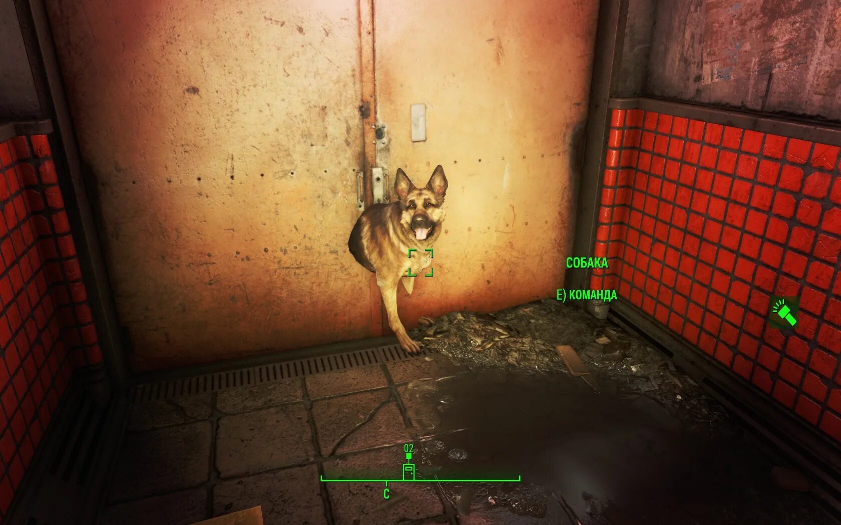 фоллаут 76 смешные баги. снайперская винтовка dks-501. Fallout 4 баг. нью вегас баги. багги фоллаут.