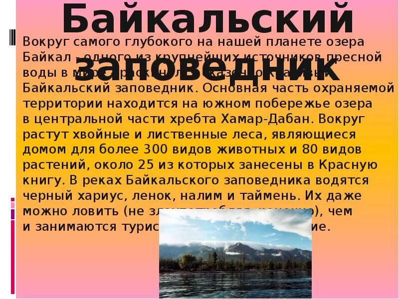 Байкальский заповедник. Байкальский заповедник доклад. Сообщение о заповеднике России Байкальский заповедник. Сообщение про Байкальский заповедник в России. Байкальский заповедник информация