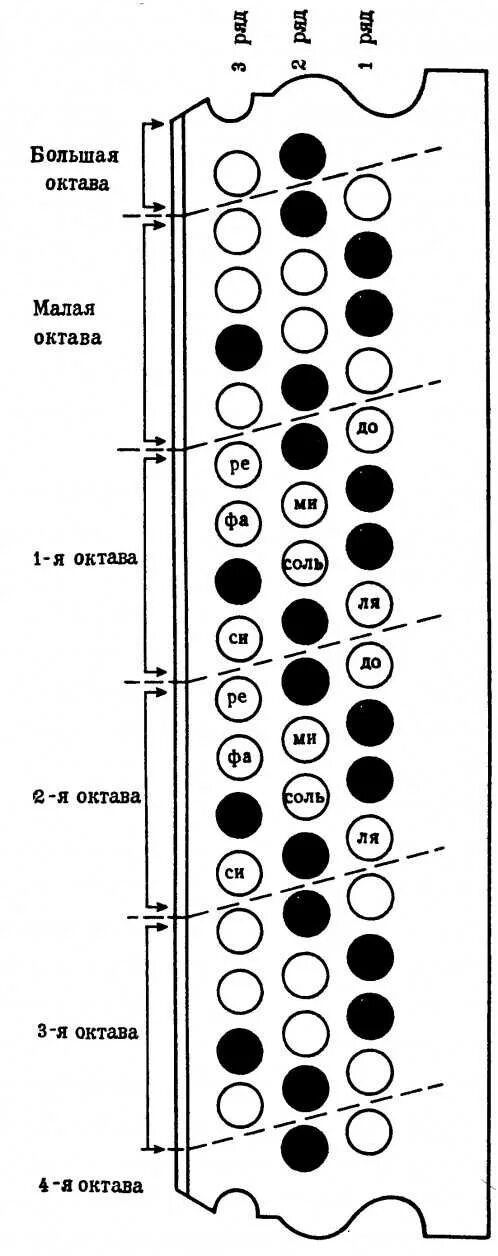 Играть на баяне аккордами. Баян Этюд схема клавиатуры. Баян схема клавиш. Схема кнопок правой клавиатуры баяна. Левая клавиатура баяна Рубин-6.